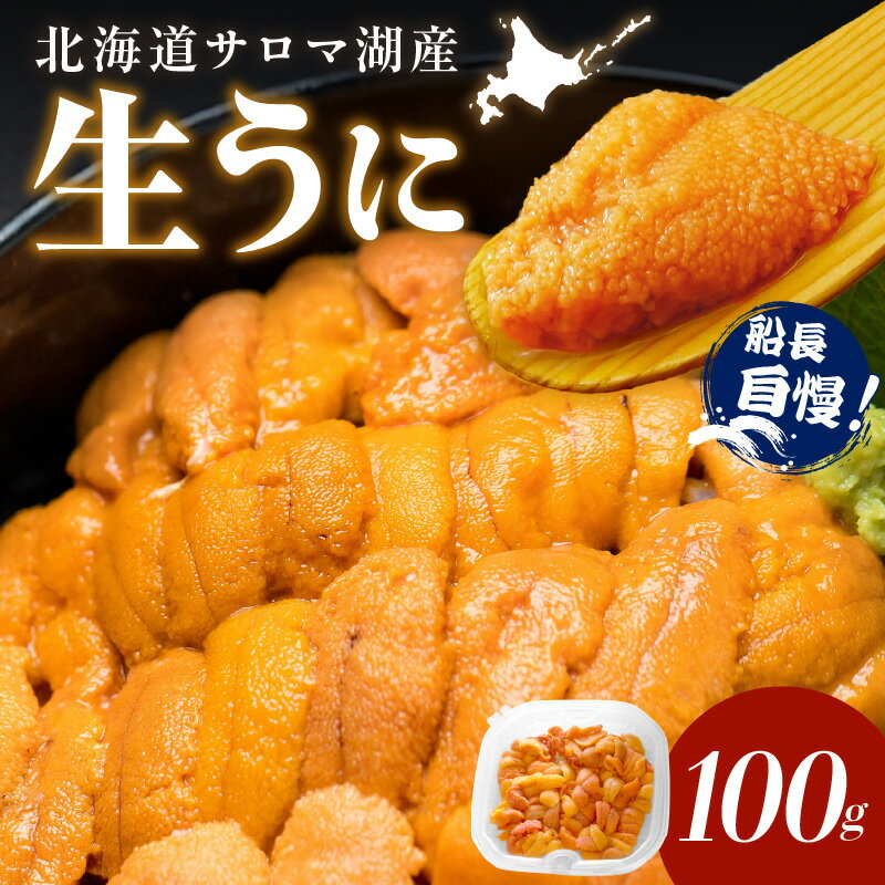 【ふるさと納税】【予約：2027年4月中旬から順次発送】サロマ湖産 生うに ( 海鮮 雲丹 うに ウニ 塩水 生ウニ 生うに ウニ丼 エゾバフンウニ ムキ身 高級 1パック 期間限定 )