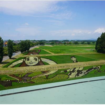 ふるさと納税 鏡石町 令和8年産かがみいし田んぼアートの福島県オリジナル品種「天のつぶ」玄米　10kg(5kg×2袋) |  | 01