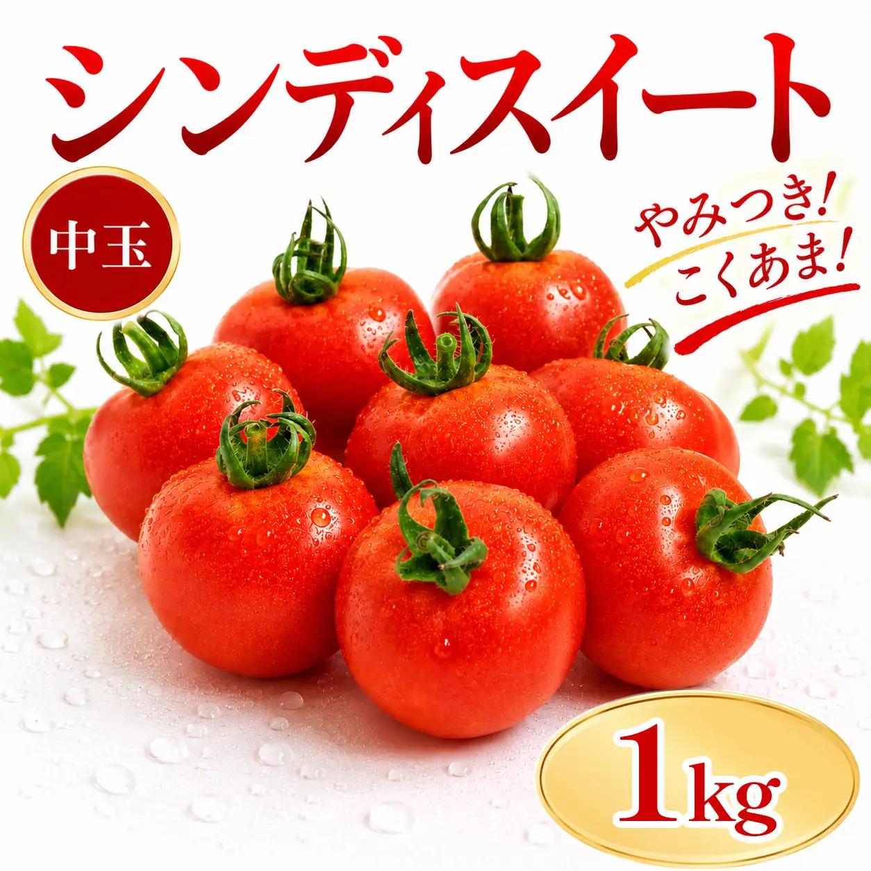 トマト 1kg シンディスイート 新鮮 産地直送 徳島県 三好市 【 野菜 】