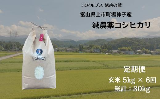 【毎月1回お届け】【定期便】【令和7年産】減農薬 上市町湯神子産コシヒカリ（玄米）5kg x 6回 計30kg　 [ソムリエH 富山県 上市町 32280251-r6-02】 米 ６ヶ月 6回定期便 定期購入 お米 コメ ご飯 ごはん 玄米ご飯 玄米ごはん こしひかり