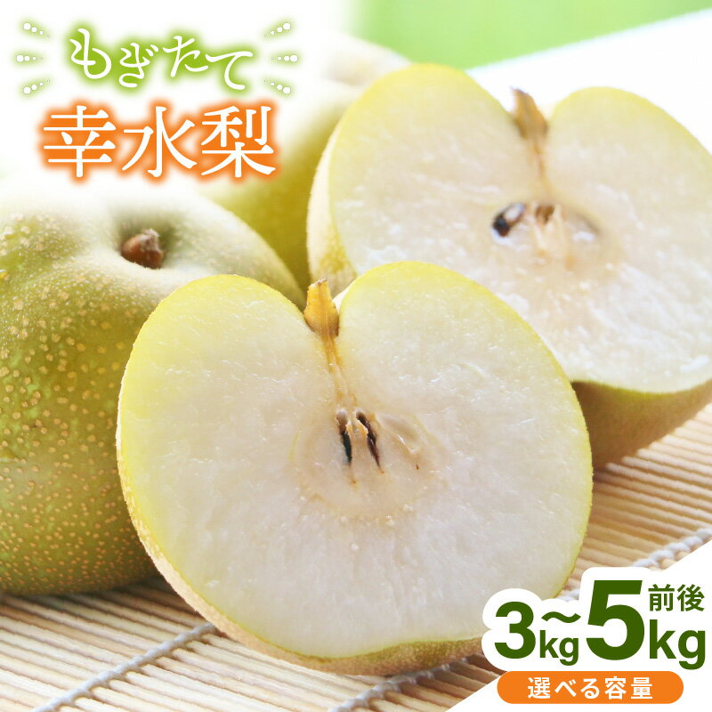 【ふるさと納税】【先行予約】【幸水梨】3kg前後 (5〜8個) / 5kg前後 (8〜14個) たっぷりの果汁を含んだジューシーな梨！【選べる内容量】【2025年8月上旬以降順次発送予定】【梨 なし フルーツ 甘い みずみずしい 果実 果物 新鮮 お土産 贈り物 旬の果物】