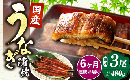 【全6回定期便】福岡県産 うなぎ 蒲焼 大3尾 合計 480 g（1尾あたり 160g以上）[VAD015] 国産 うなぎ