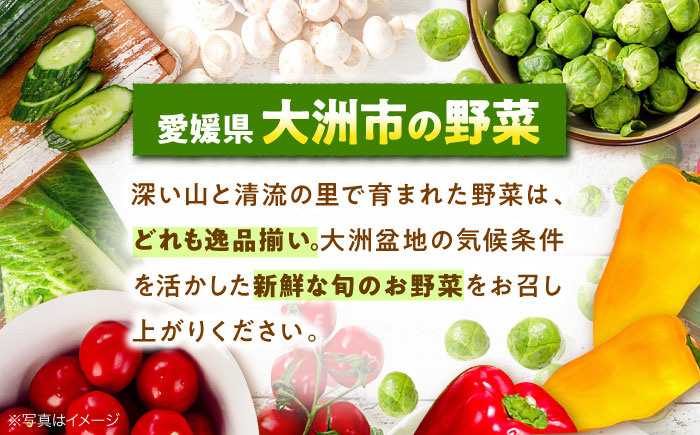 すいか スイカ 梅雨入り前スイカ 西瓜 果物 くだもの フルーツ ふるーつ 祭りばやし 祭り 大玉 初夏 春 甘い 人気 産直