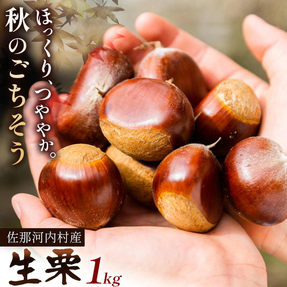 【ふるさと納税】栗 生栗 くり 佐那河内村産 生栗 1kg サイズ混合 数量限定 《10月上旬-10月末頃出荷》徳島県 佐那河内村 送料無料 クリ 旬 秋 果物 栗ごはん スイーツ 栗きんとん
