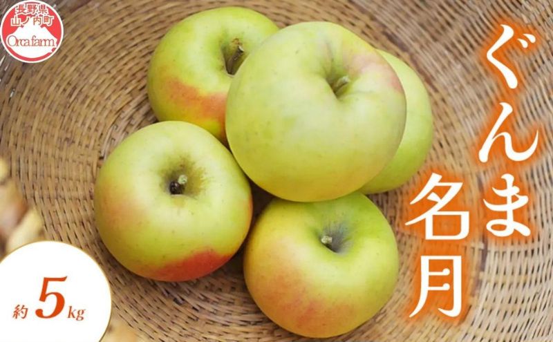 ぐんま名月 約5kg りんご リンゴ 林檎 果物 フルーツ 長野県 長野 山ノ内町