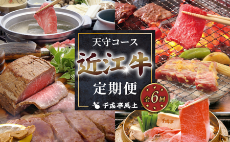 近江牛 6ヶ月定期便 天守コース【近江牛定期便】