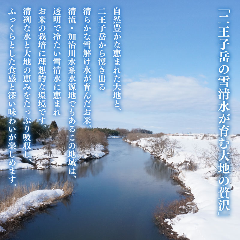 令和7年産 新潟県産 コシヒカリ 10kg 5kg×2袋 数量限定 特別栽培米 二王子米 新潟産 新潟米 新発田産 新発田 お米 米 kome 白米 ご飯 こめ ごはん ライス ふるさと納税米 コシヒ