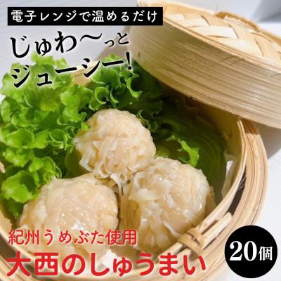 ふるさと納税 田辺市 大西のしゅうまい 20個入り【gyz006-1】