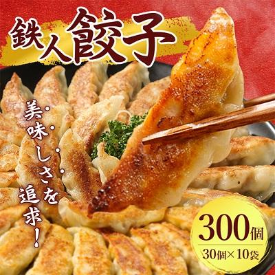 ふるさと納税 大和高田市 鉄人餃子　300個(30個×10袋)
