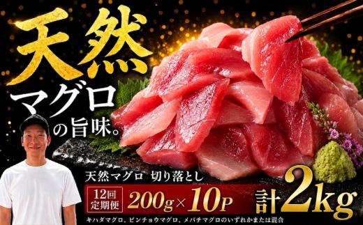 【12回定期便】天然マグロ切り落とし 200g×10P│天然マグロ 切り落とし 刺身 マグロ丼 冷凍 高知県 ふるさと納税 キハダマグロ ビンチョウマグロ メバチマグロ 海鮮 お取り寄せ グルメ 時短 簡単調理 解凍するだけ 一口サイズ 手巻き寿司 具材 ユッケ カルパッチョ 漬け丼 おかず おつまみ ギフト 贈答 贅沢 人気 おすすめ 産地直送 新鮮 晩酌 魚介