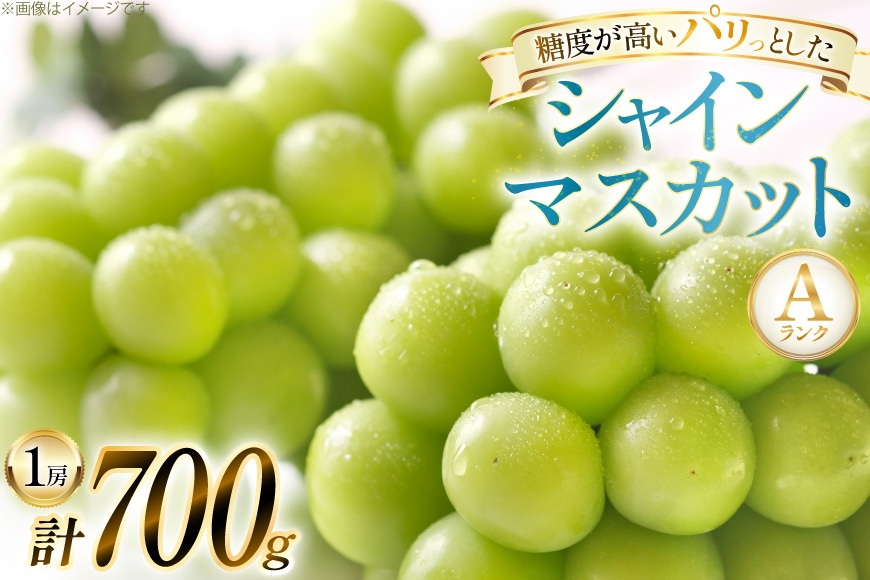 《先行予約令和5年発送分》数量限定 贈答用 冬のシャインマスカット 700g 1房 秀品 クリスマス ぶどう 果物 フルーツ