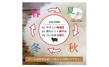 夏はさらっと、冬はぽかぽか、オールシーズン羊毛混掛布団 150×210cm 寝具 掛布団 布団 シングルロング 新潟市 新潟 ブルー