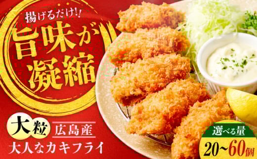 贅沢な一品！こだわり大粒の『大人なカキフライ』【瞬間冷凍】20個入り 牡蠣 かき カキ 大粒 かき 海鮮 和食 海産物 広島県産 江田島市/有限会社マルイチ水産 [XCU001]牡蠣 生食 むき身 殻付き かき カキ 生牡蠣 オイスター カキフライ 魚介類 海鮮 広島県産 国産 産地直送