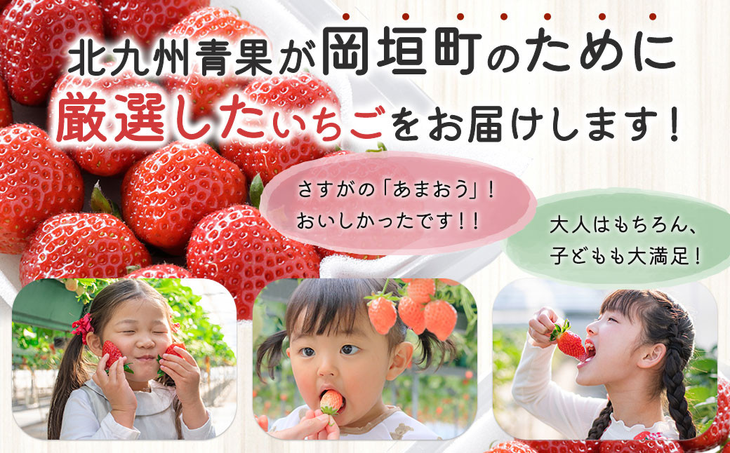 福岡県産 博多あまおう約560g（約280g×2パック入り）  【2025年1月下旬～3月下旬発送予定】