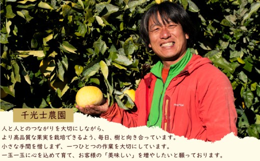【2027年2月上旬より順次発送】 土佐文旦 2玉 3L サイズ 果物類 みかん 柑橘類 その他みかん 柑橘類 果物の詰め合わせ 柑橘 フルーツ 文旦 ぶんたん ブンタン 果物 みかん 蜜柑 お裾分け デザート ジュース 旬 冬 くだもの 冬ギフト 柑橘 産地直送 訳あり 家庭用 贈答用 大玉 小玉 文旦高知 3l 4l 5000円 5千円 高知県 安芸市