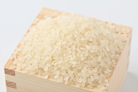 特別栽培米〈とちぎの星〉10kg ※離島への配送不可 ≪米 お米 白米 ご飯 栃木県産≫