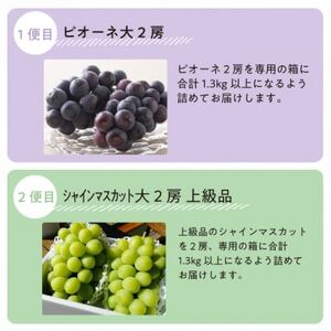 【発送月固定定期便】ピオーネとシャインマスカットのずっしり大サイズ2房が届く(岡山県産)全2回【配送不可地域：離島】【4067477】