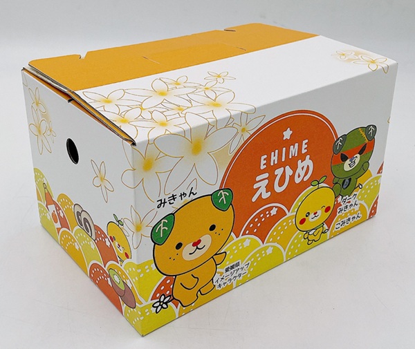 みかん 愛媛 柑橘ゼリー詰合せセット（紅まどんな、みかん、伊予柑） 愛媛の果実 人気 数量限定 柑橘 伊予市｜B261