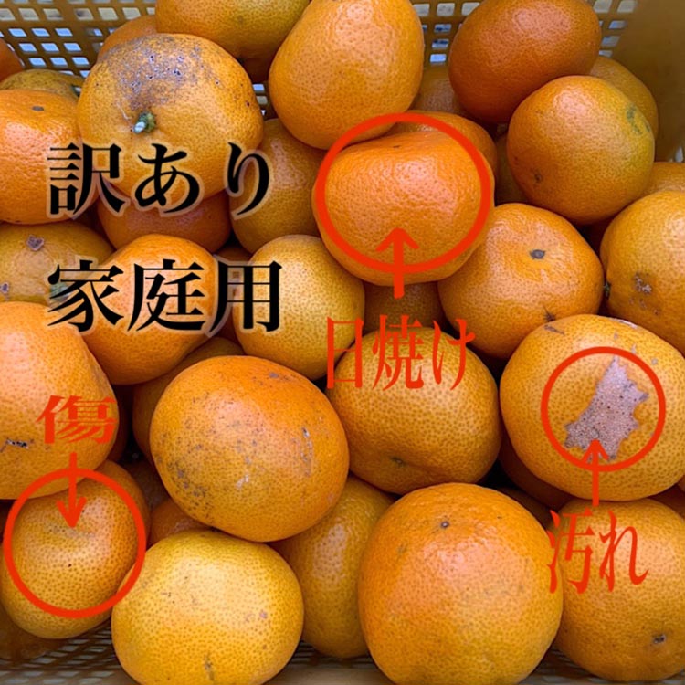 【まごころ手選別】和歌山産 有田みかん 3kg 家庭用(2S～2Lサイズ混合) ※2025年11月上旬～2026年1月下旬頃に順次発送予定