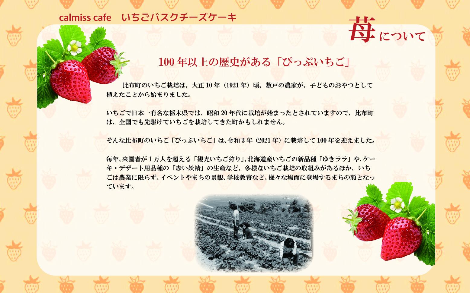 Calmiss Cafe　いちごバスクチーズケーキ