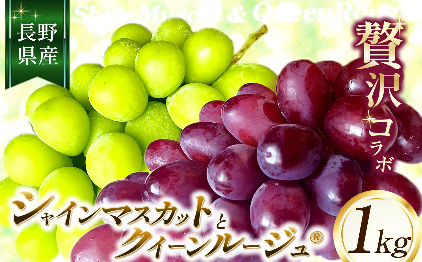 
                  シャインマスカット と クイーンルージュ® の コラボ 約1kg 【2026年先行予約】 | ちのふぁーむ 果物 ぶどう 葡萄 シャインマスカット クイーンルージュ フルーツ 果物 デザート 食後 おやつ 果汁 ジューシー 皮ごと 日本産 国産 産地直送 長野県 松川村 信州
                