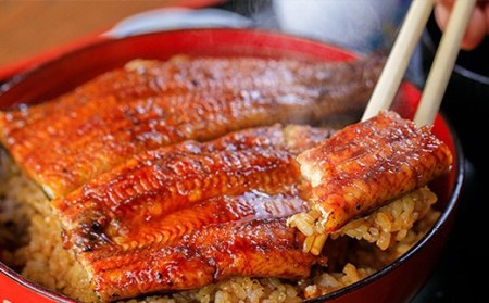 〈鰻大好き定期便〉四万十うなぎ蒲焼き≪大≫（160g x 3本）12カ月セット／ うなぎ うなぎ蒲焼 高知うなぎ 国産うなぎ うな重 鰻 国産鰻 高知鰻 冷凍鰻 鰻蒲焼 四万十うなぎ 土用の丑の日 う