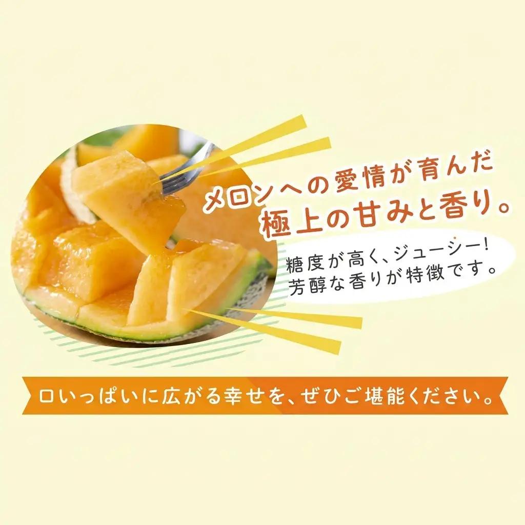 富良野メロン 赤肉 大玉 相馬農園 富良野メロン【1玉 約2kg】