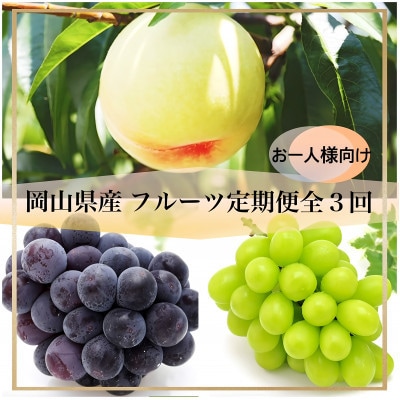 【発送月固定定期便】岡山県産 フルーツ定期便《お一人様向け》全3回【配送不可地域：離島】