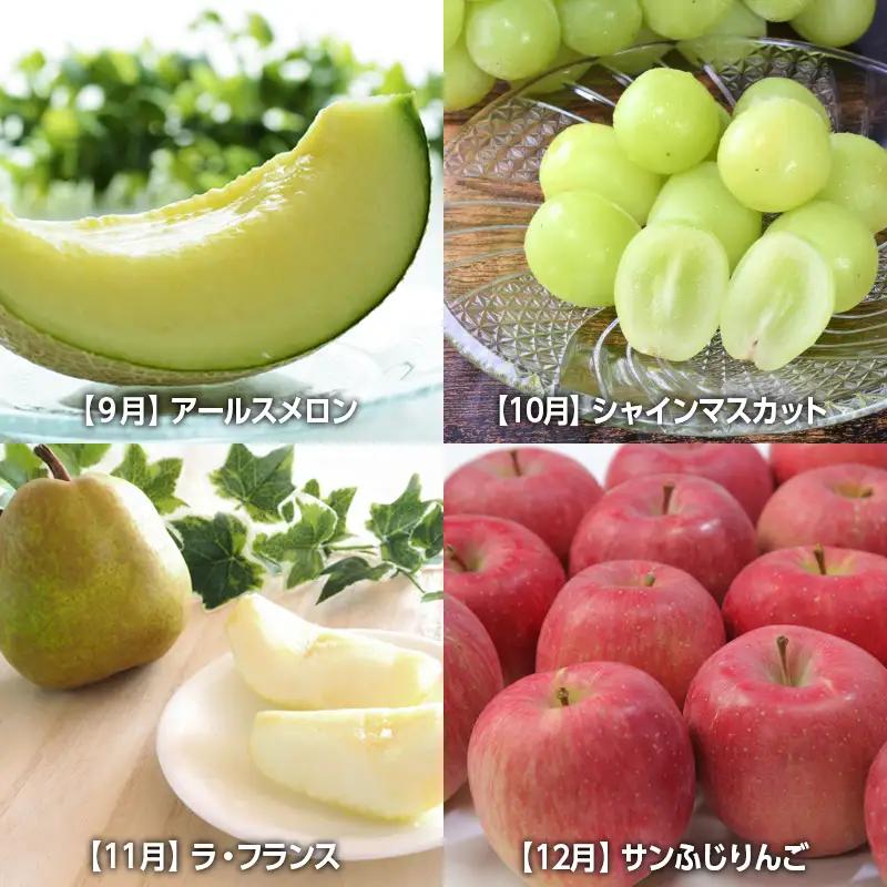 【定期便８回】☆フルーツ王国山形☆山形旬の味覚フルーツよくばり定期便『いちご、佐藤錦、デラウェア、白桃、メロン、シャインマスカット、ラ・フランス、りんご』 FY26-057