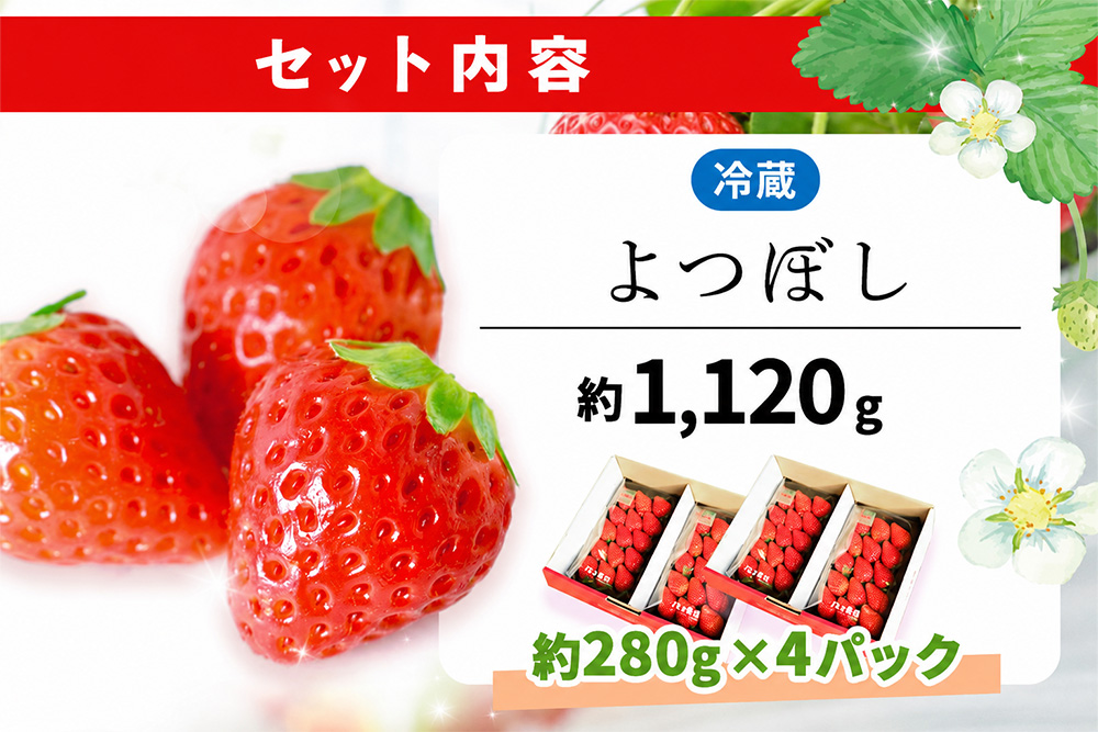 【2027年2月発送】【先行予約】【農場直送！】よつぼし(約280g×4P)【ふるさと納税 佐賀県 基山町産 げんき農場 苺 ブランド苺 イチゴ いちご フルーツ 果物 くだもの 美味しい おいしい 