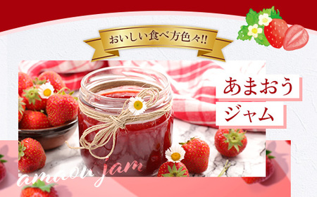 福岡県産 あまおう 500g 送料無料 いちご 果物 フルーツ ギフト 季節限定 スイーツ ケーキ ブランド 先行予約 2025年1月より順次発送 TY051-1