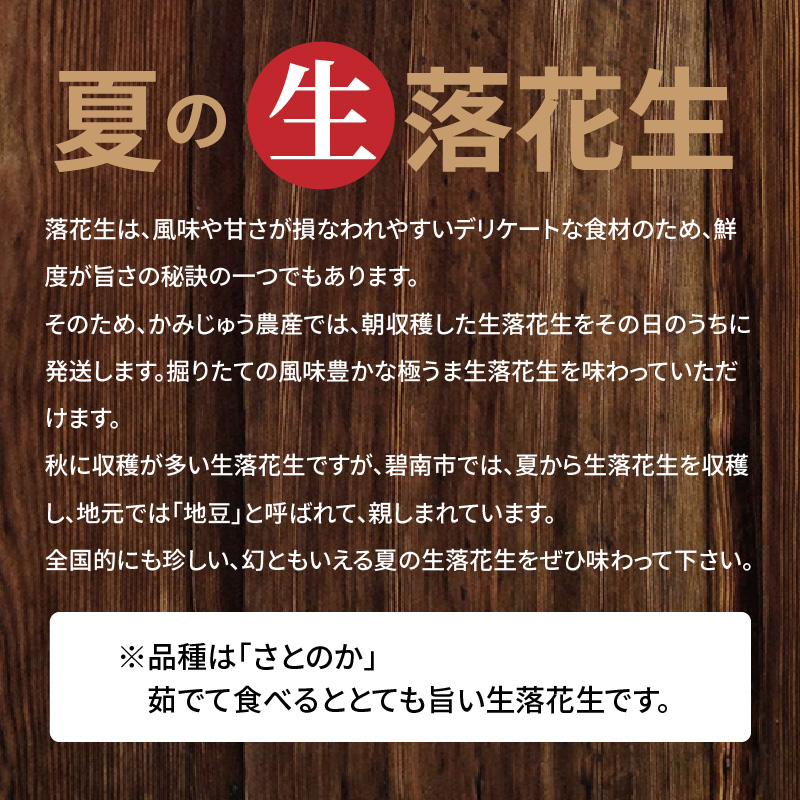 【2026年発送】事前予約 訳あり やみつき極うま “金の生落花生” 塩ゆで専用 1kg(500g×2袋）　H105-143