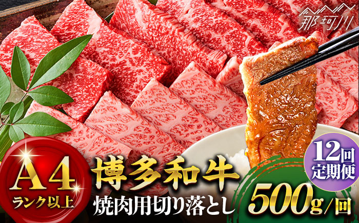 
【全12回定期便】【和牛の旨味を堪能！】博多和牛焼肉用 500g＜株式会社MEAT PLUS＞那珂川市 [GBW021]
