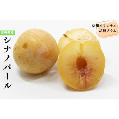 ふるさと納税 中野市 長野県のオリジナル品種　至高のプラム　シナノパール　2個