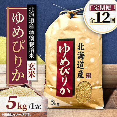 【ふるさと納税】【毎月定期便】特別栽培米 北海道産ゆめぴりか5kg 美味しい玄米 特Aランク 全12回【4093887】