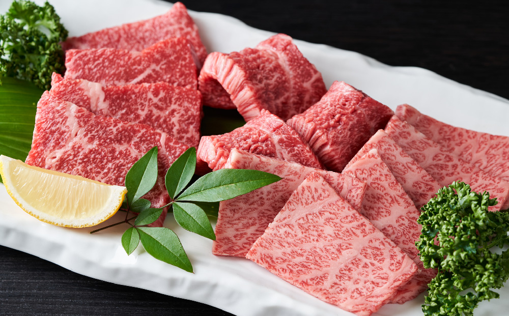 【3か月定期便】艶さし！【A4～A5】佐賀牛焼肉用 500g×3回【肉 牛肉 ブランド牛 黒毛和牛 ふるさと納税】(H112166)