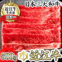 【ふるさと納税】近江牛 4等級以上 すきやき用 500g すき焼き肉 牛肉 すき焼き 赤身 すき焼き A4/A5すき焼き モモ すき焼き かた肉 すき焼き 滋賀県産 すき焼き 国産 すき焼き カネ吉山本 すき焼き 贈り物 すき焼き ギフト すき焼き 送料無料 すき焼き お祝い すき焼き