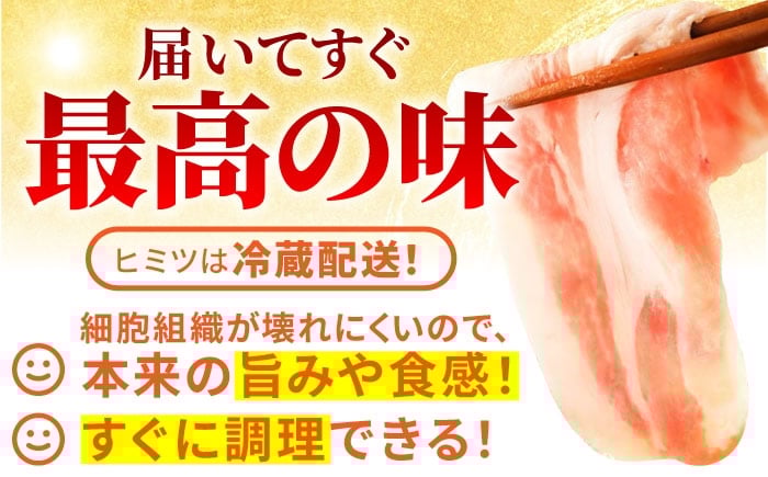 三元豚 豚しゃぶ 豚肉 1㎏ 冷蔵 選べる 切り方 スライス しゃぶしゃぶ すき焼き
