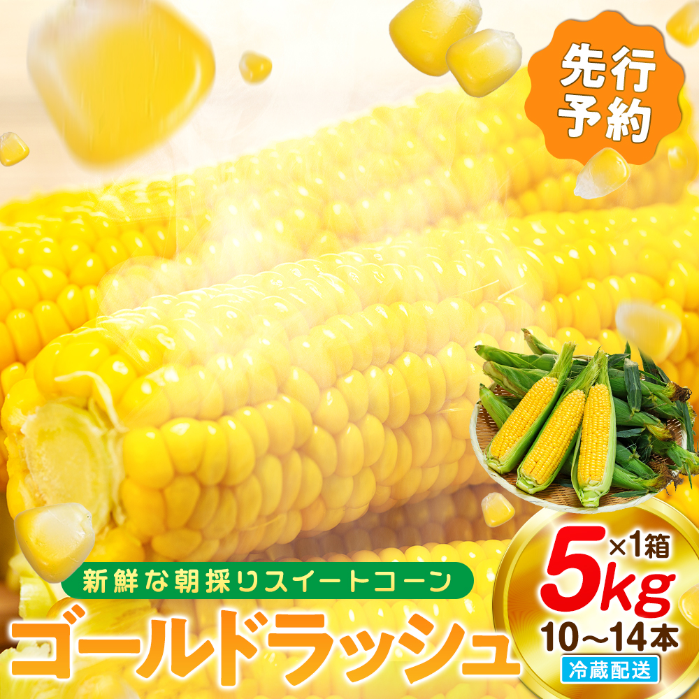 【2027年先行予約 6月下旬から出荷】 スイートコーン 約5kg 10～14本 冷蔵 国産 とうもろこし 先行予約 数量限定 コーン 野菜 新鮮 焼き 蒸し 産地 直送 甘い 甘口 子ども 子供 小分け 種子 肥料 さわやか すっきり 糖度 黄色 人気 おすすめ 愛知県 南知多町