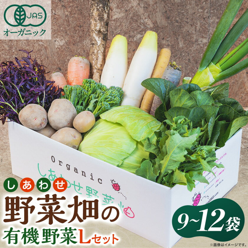 【ふるさと納税】しあわせ野菜畑の有機野菜　Lセット　(安心の有機JAS認証　旬のオーガニック野菜　農場直送便)【配送不可地域：離島・北海道・沖縄県・四国・九州】【1493216】