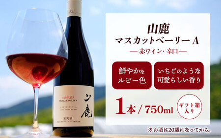 菊鹿シャルドネ＆山鹿マスカットベーリーA2024 ワイン2本セット 化粧箱付【菊鹿ワイナリー】[ZFB006]