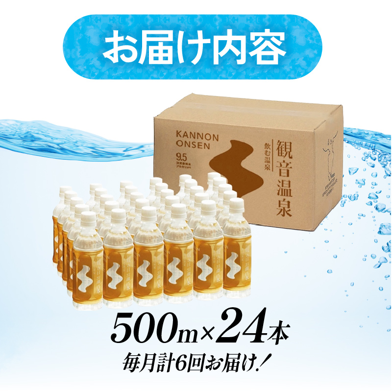 飲む温泉　観音温泉　500ml　(24本入)　１ケース　定期便　６ヶ月　毎月