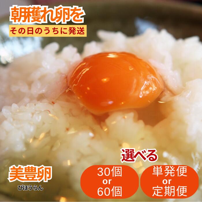 【ふるさと納税】たまご 卵 タマゴ 30個 60個 定期便 選べる 美豊卵 熊福 こだわり ふっくら 濃厚 朝穫れ ふるさと納税 送料無料 【四国中央市 日本一 紙のまち】
