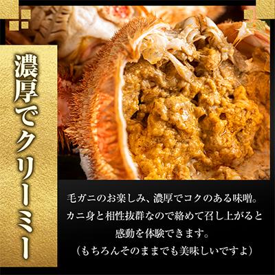 ふるさと納税 稚内市 【稚内産・極】 浜茹で毛ガニ(堅蟹) 570g×1尾 |  | 01