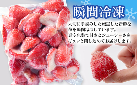苺大野屋　瞬間冷凍　完熟苺やよいひめ800g＜1.2-18＞