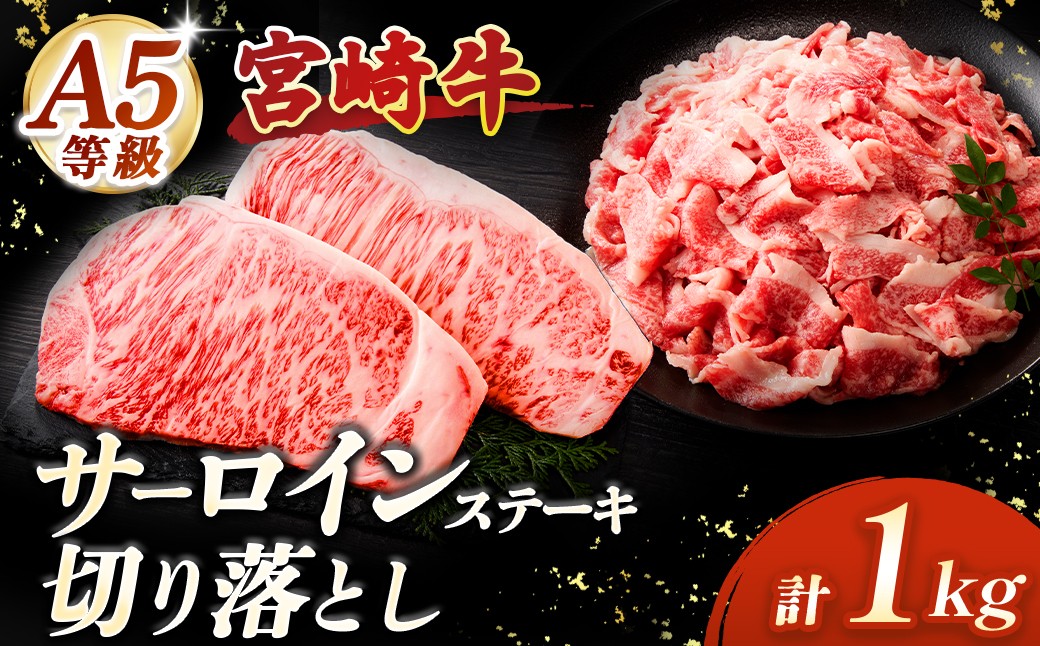 
                  【A5等級宮崎牛】サーロインステーキ・切り落としセット1kg（小林市産 牛肉 和牛 特選 贅沢 厳選和牛 ブランド牛 ギフト 贈答）
                