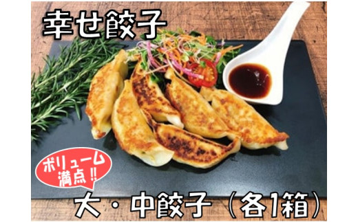 
006-21幸せ餃子のボリューム満点こだわり大・中餃子（各1箱）
