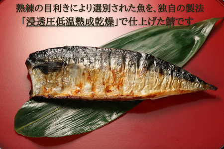 熟成ひもの 焼きサバ 10枚 【 サバ 】