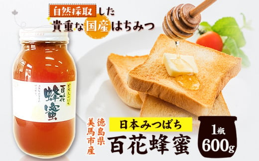 日本みつばち 百花はちみつ 600g 《30日以内に出荷予定(土日祝除く)》株式会社アグリサポート美馬 徳島県 美馬市 蜂蜜 ハチミツ 自然採取 国産 はちみつ 1瓶