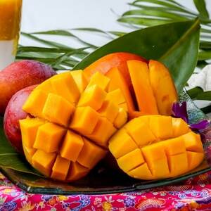 【2026年6月下旬から順次発送・家庭用】護佐丸マンゴー1.5kg(3～5玉)【配送不可地域：離島】【1676051】